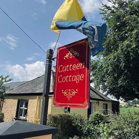 Cutteen Cottage Tulla Exterior photo